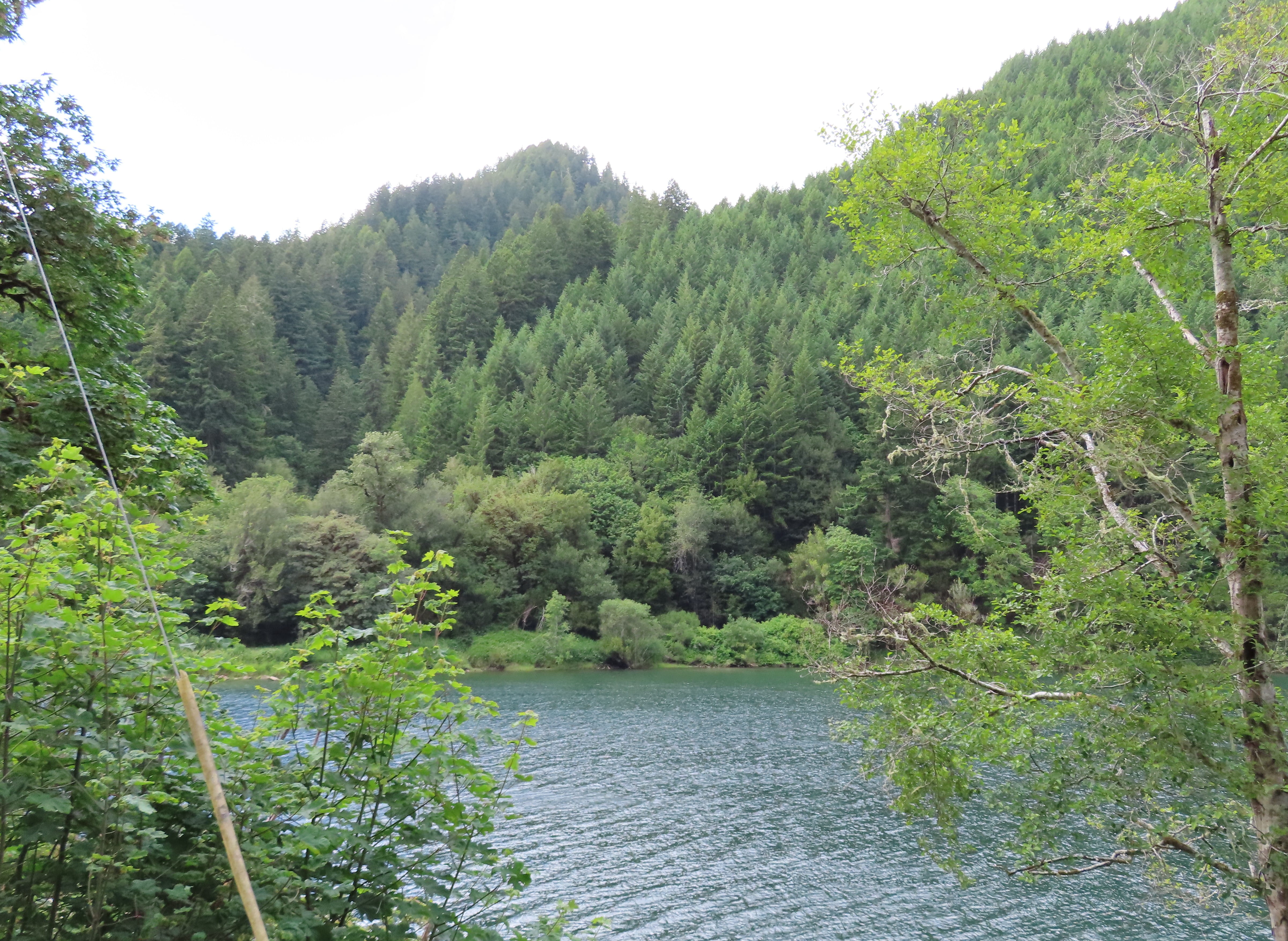 Umpqua River View