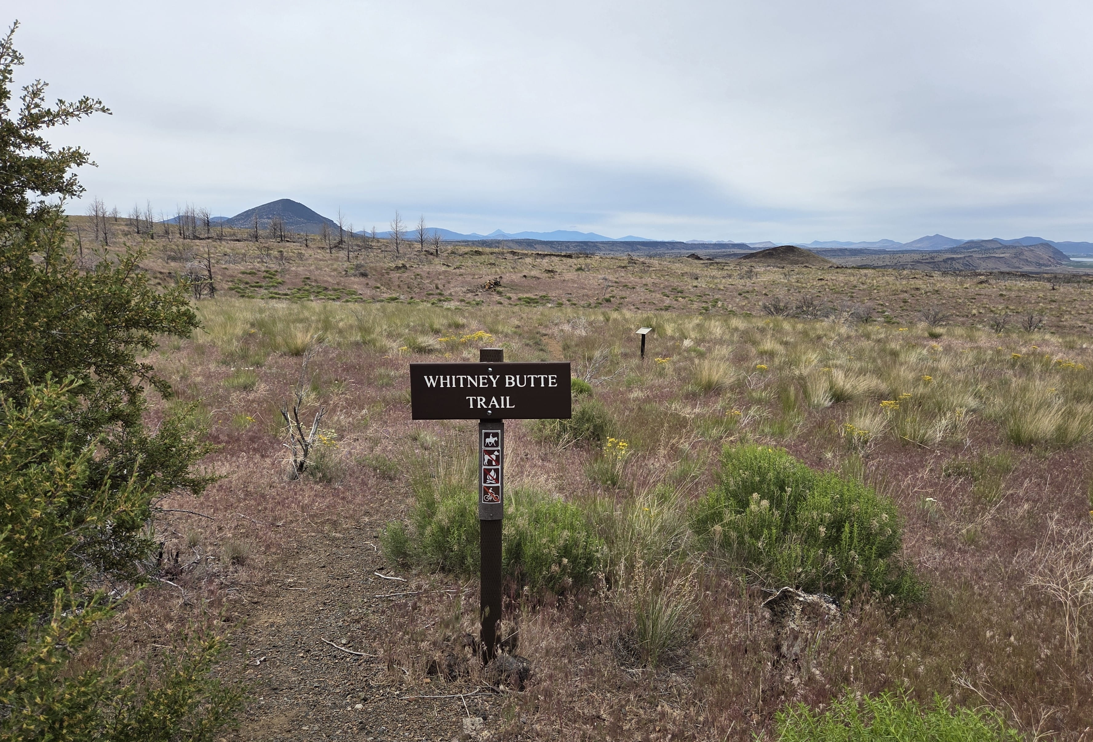 Whitney Butte trailhead