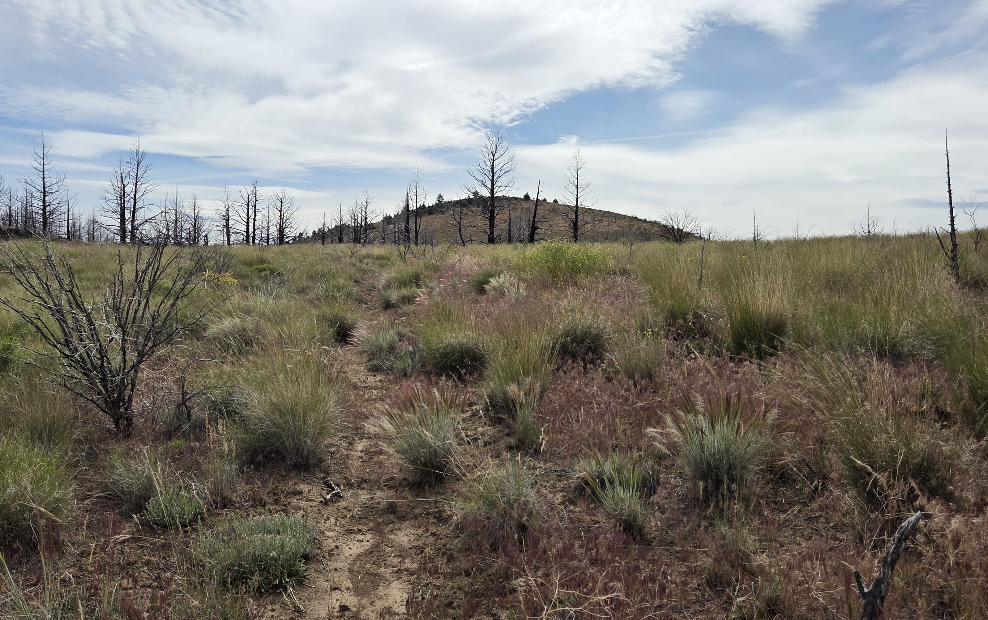 Whitney Butte Trail
