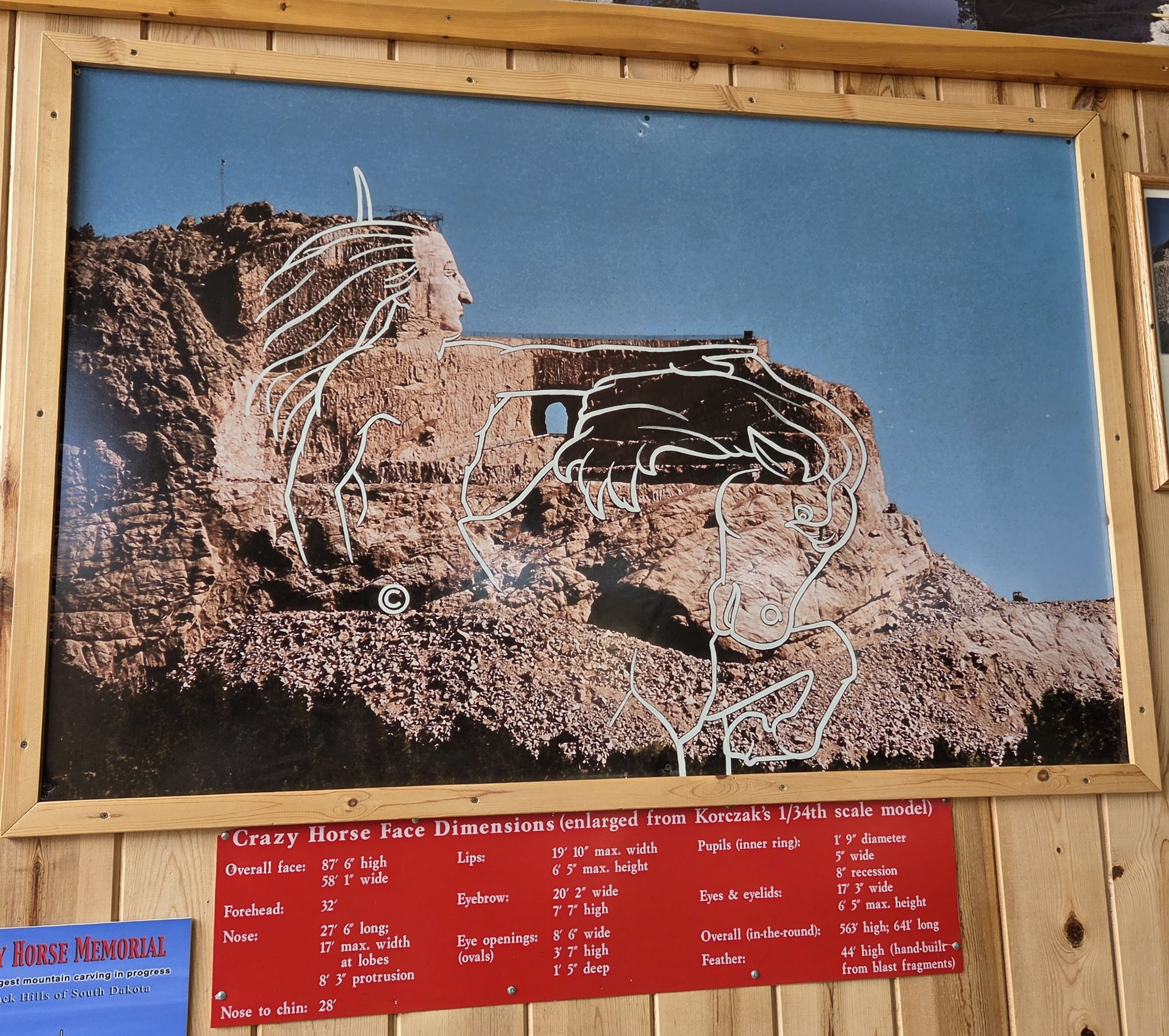 Crazy Horse Design
