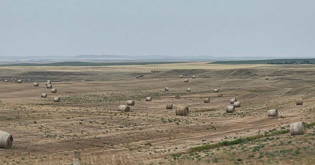 Fields with hay bales