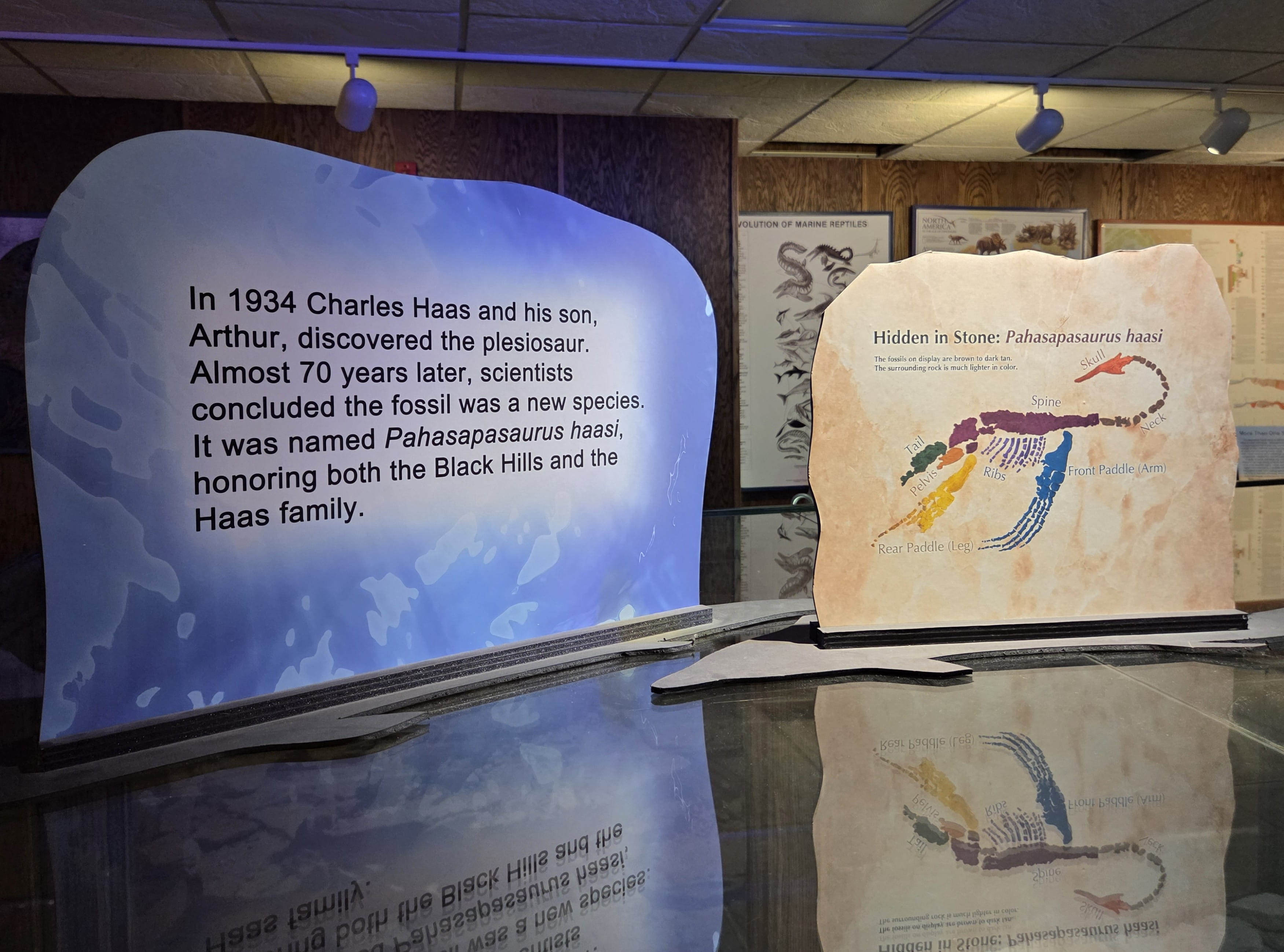 Fossil Information