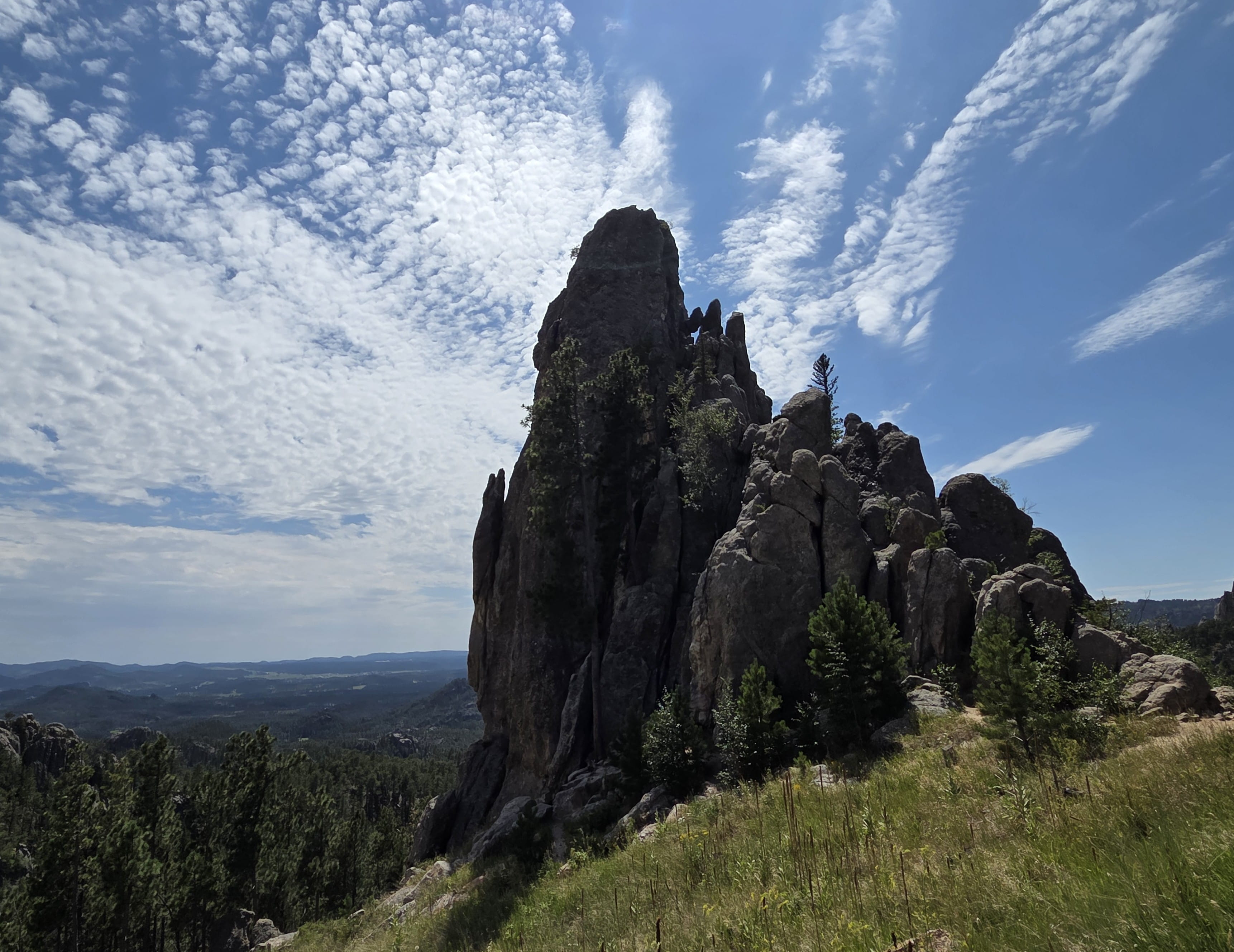 Needles Hwy View