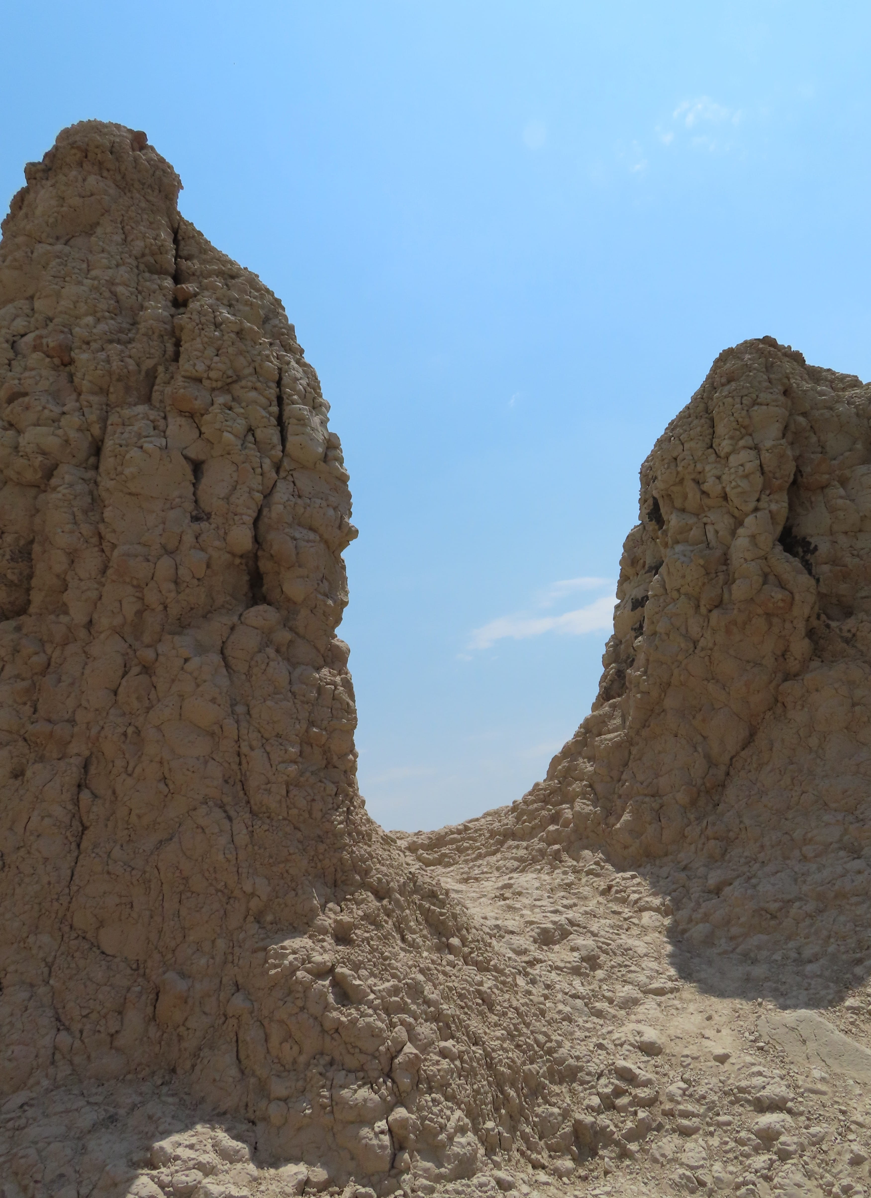 The Notch