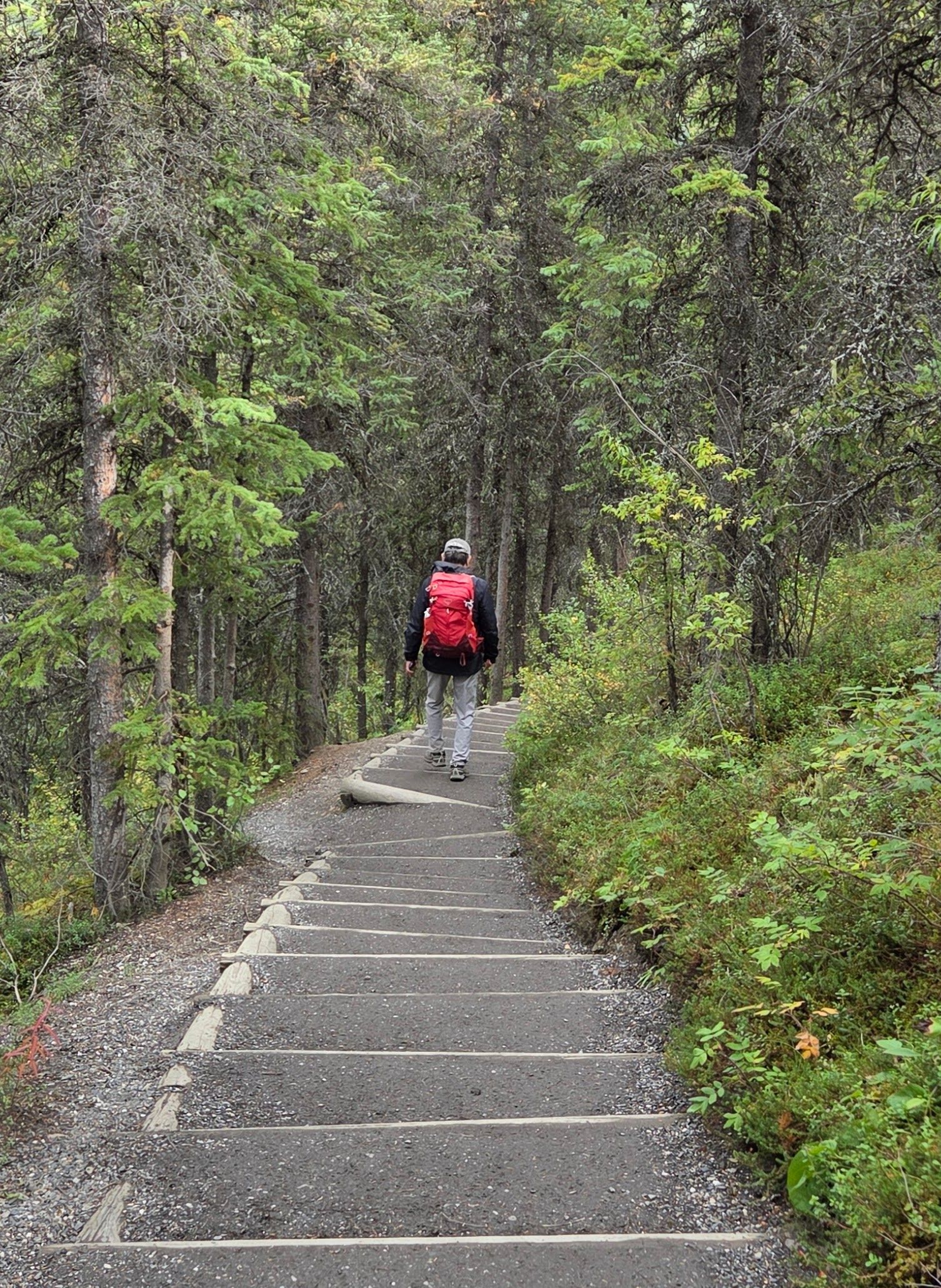 Horseshoe Lake Trail