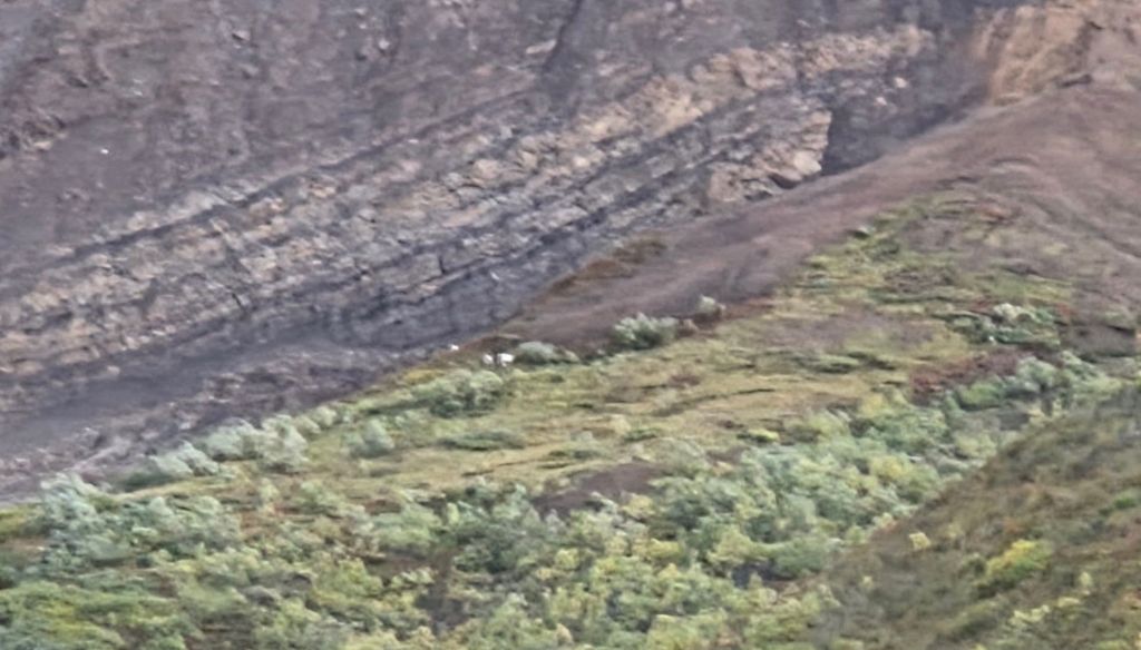 View around Sable Mountain