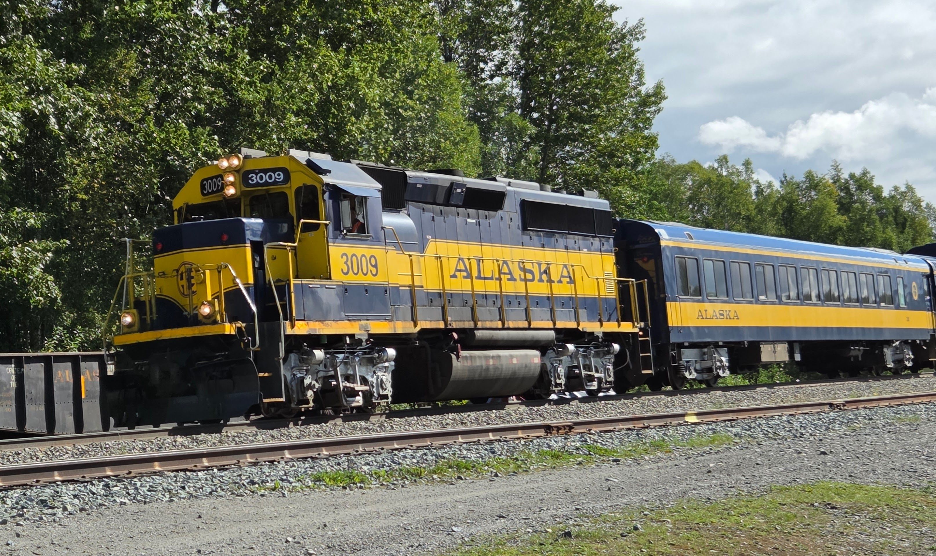 Alaska Railroad Train