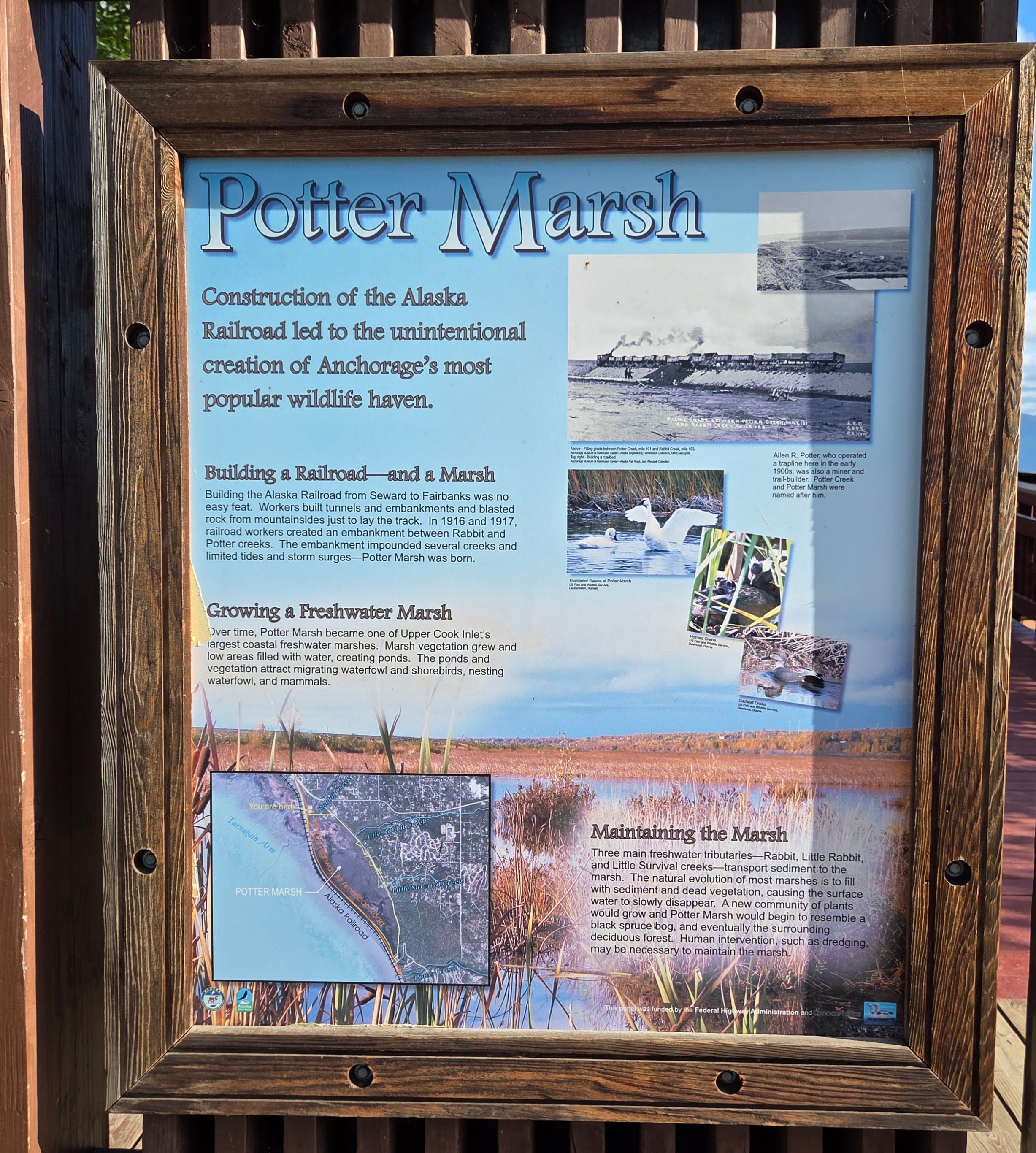 Potter Marsh