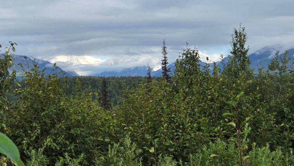Denali view from a viewpoint