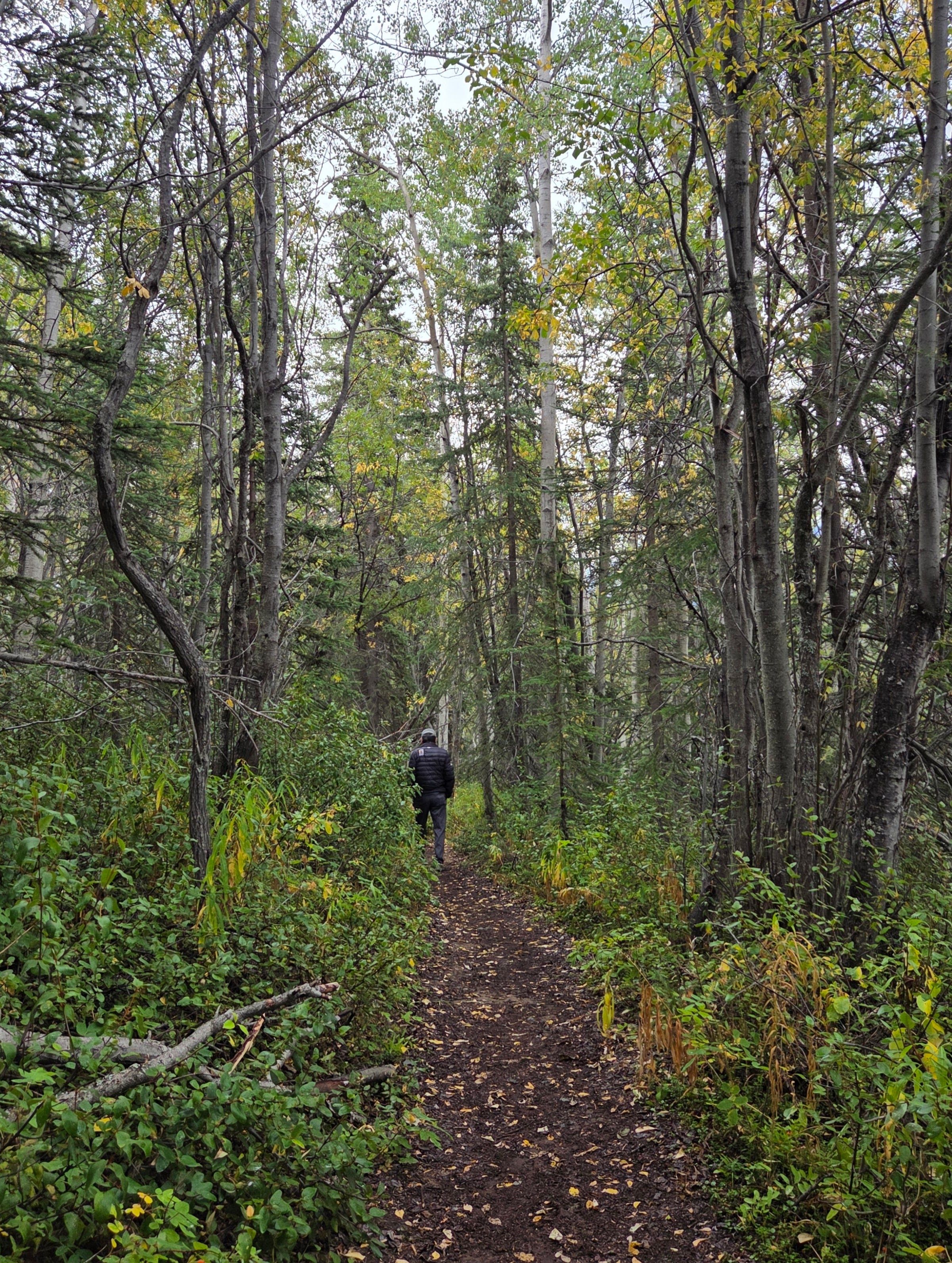 Hiking on the loop trail