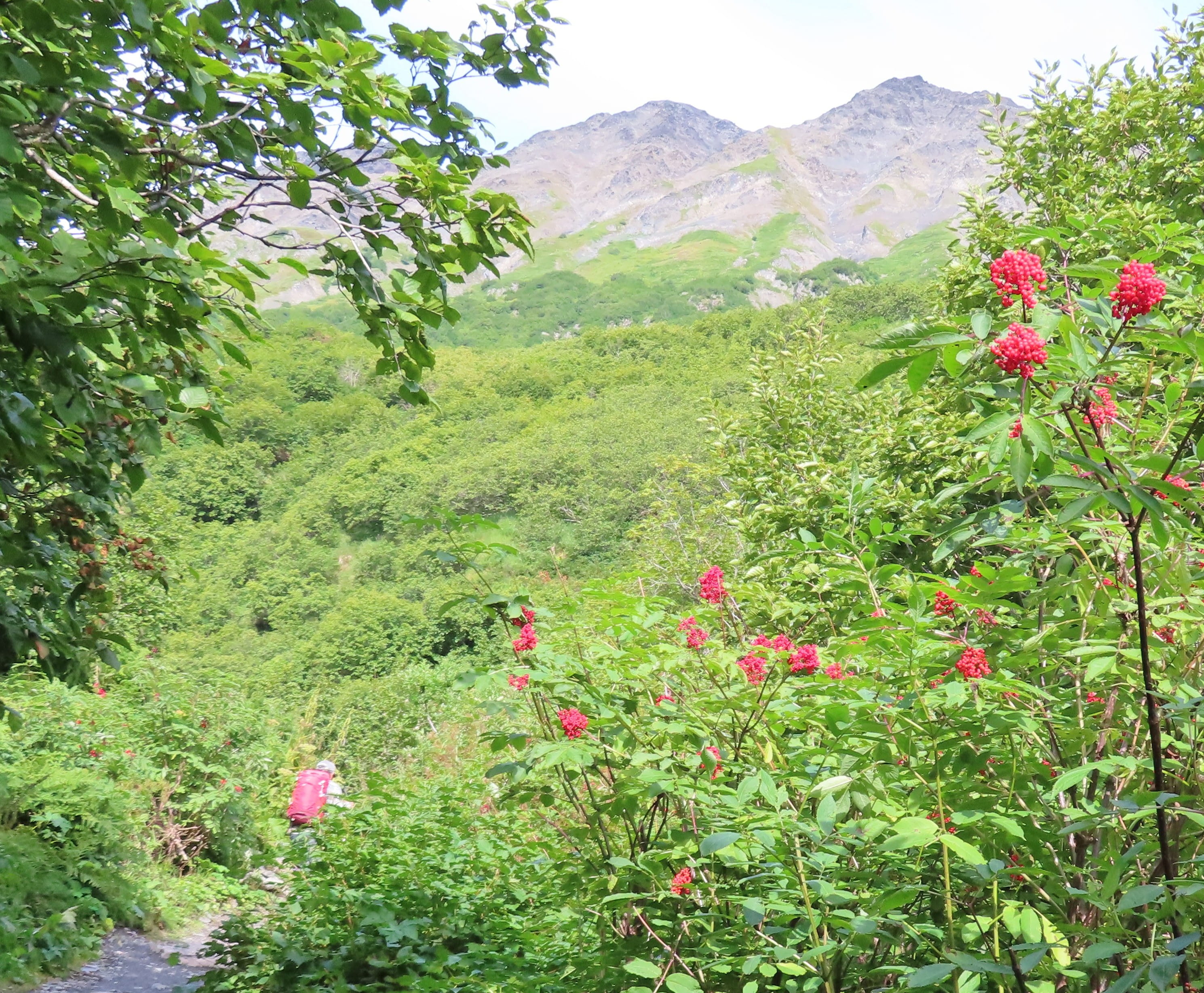 On the trail