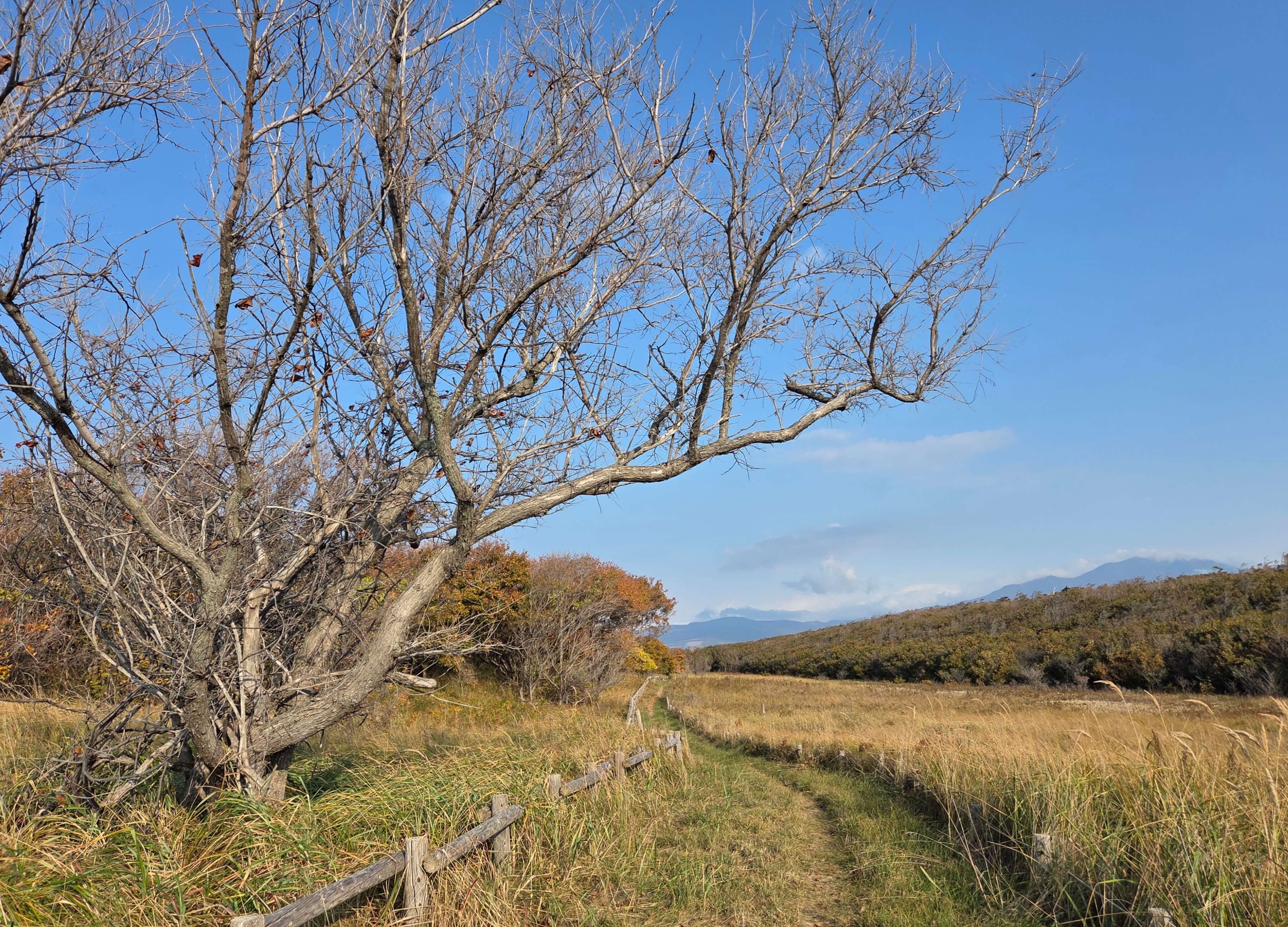 Garden Trail