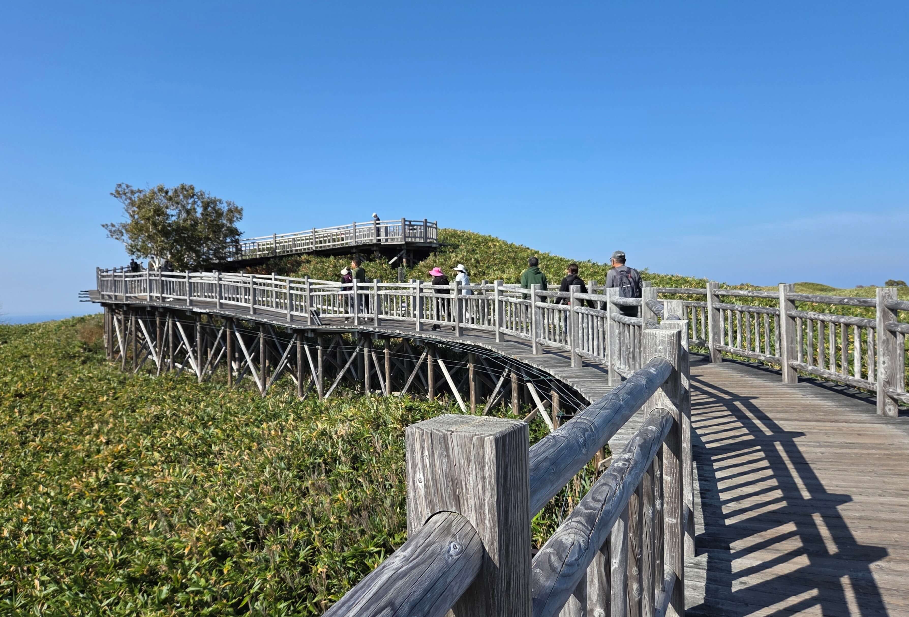Boardwalk to Lake #1