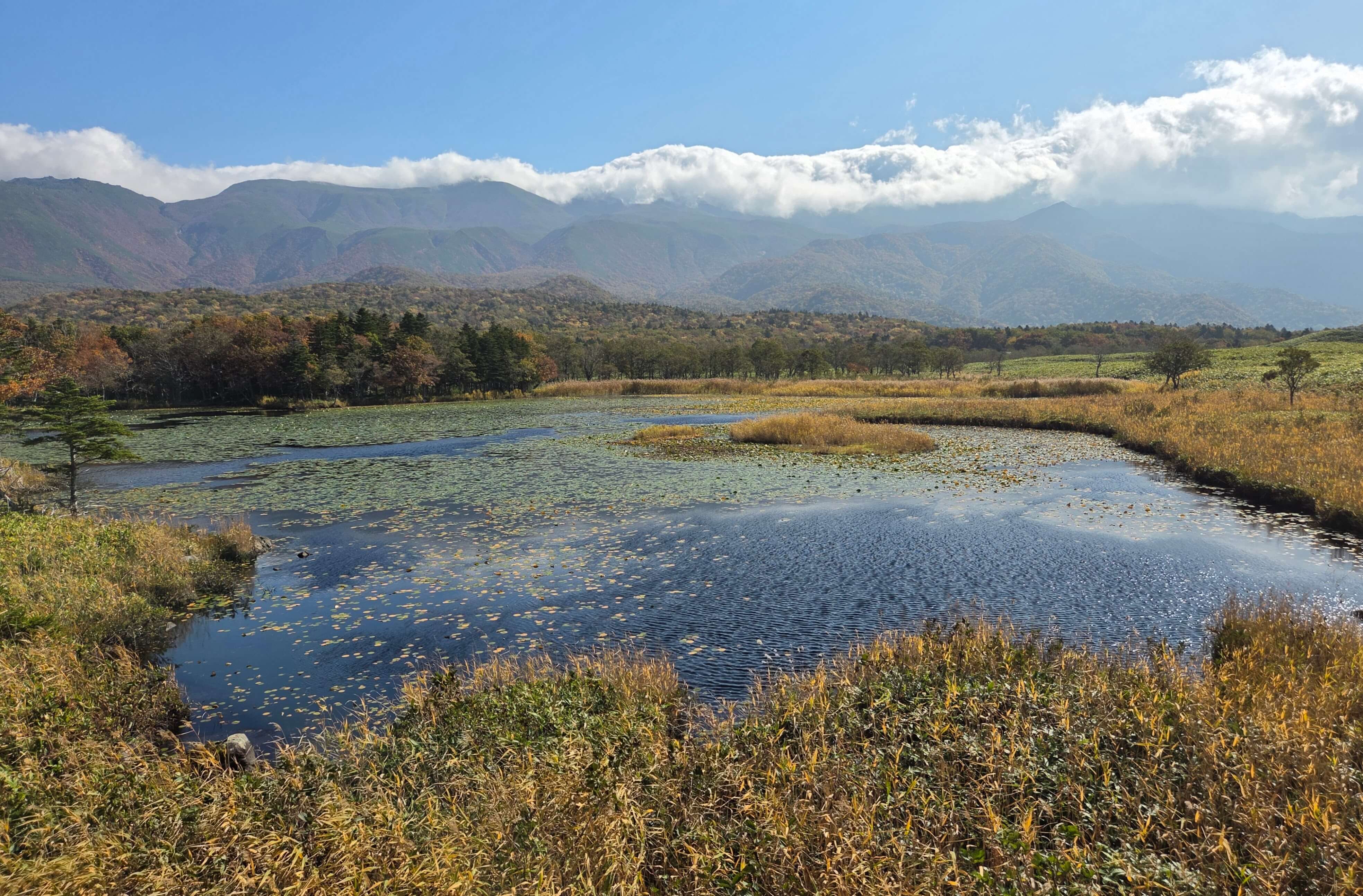 Shiretoko Lake #1