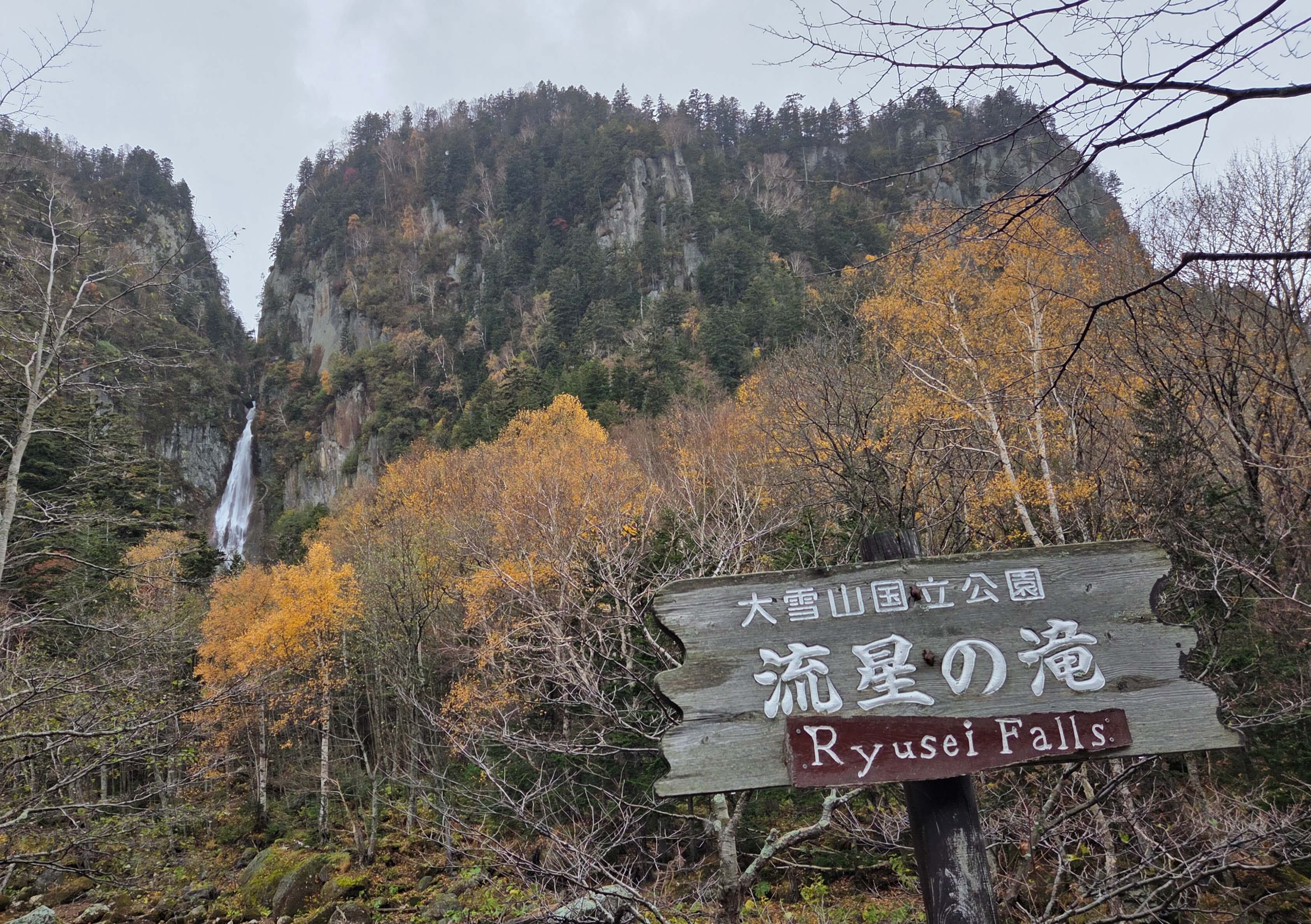 Shooting Star Falls