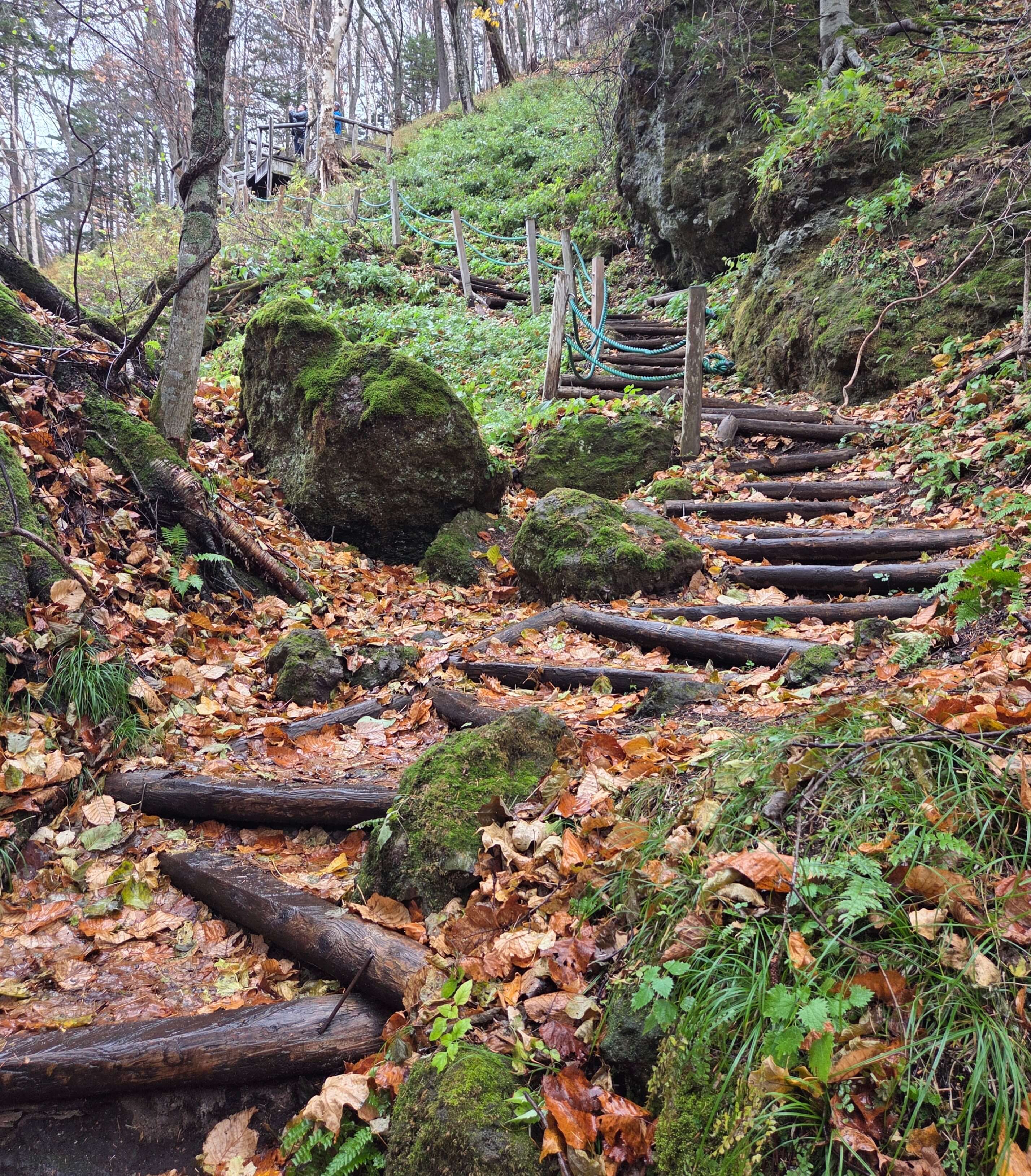 Steep and slippery trail to the viewing platform