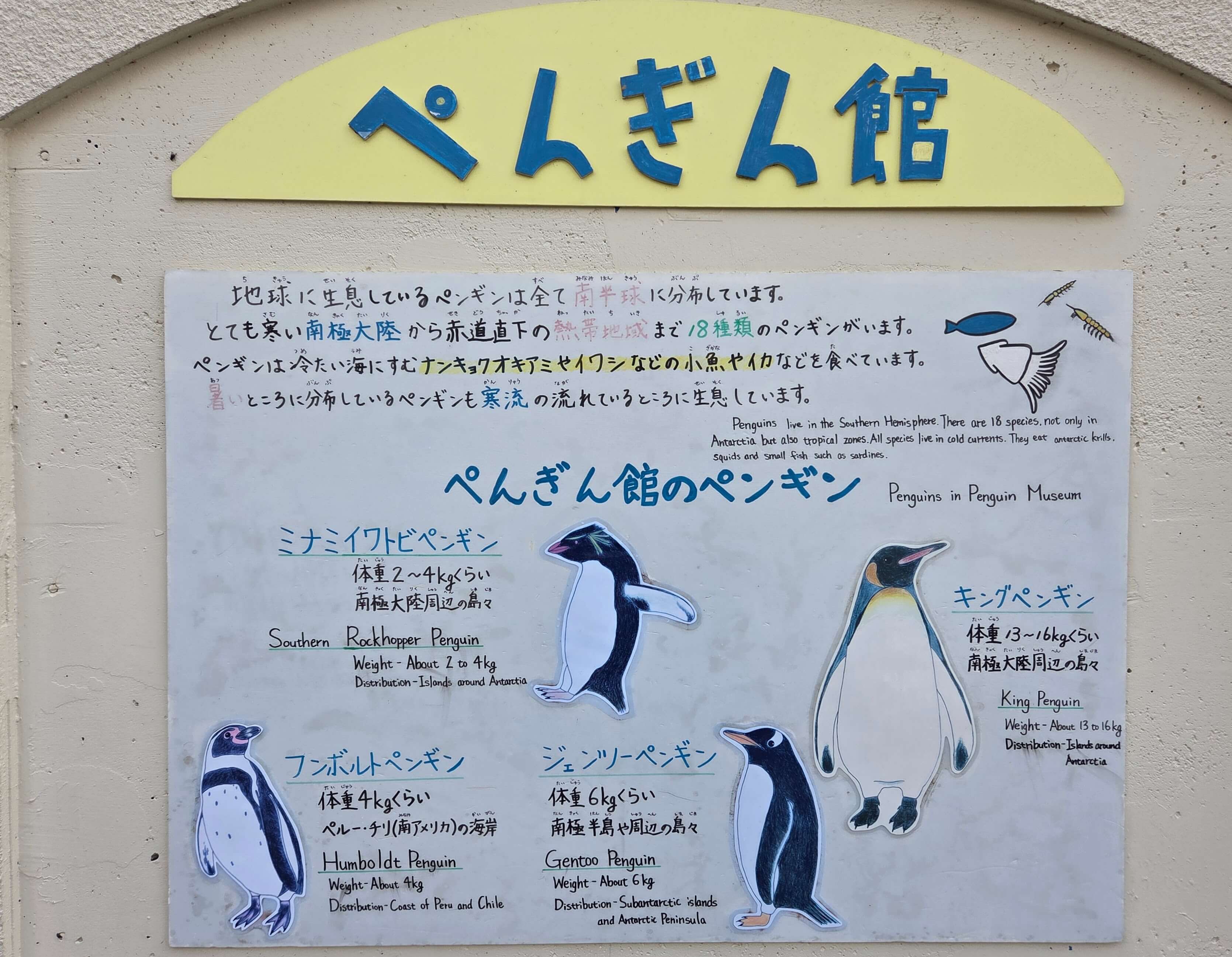 The zoo has 4 penguin species