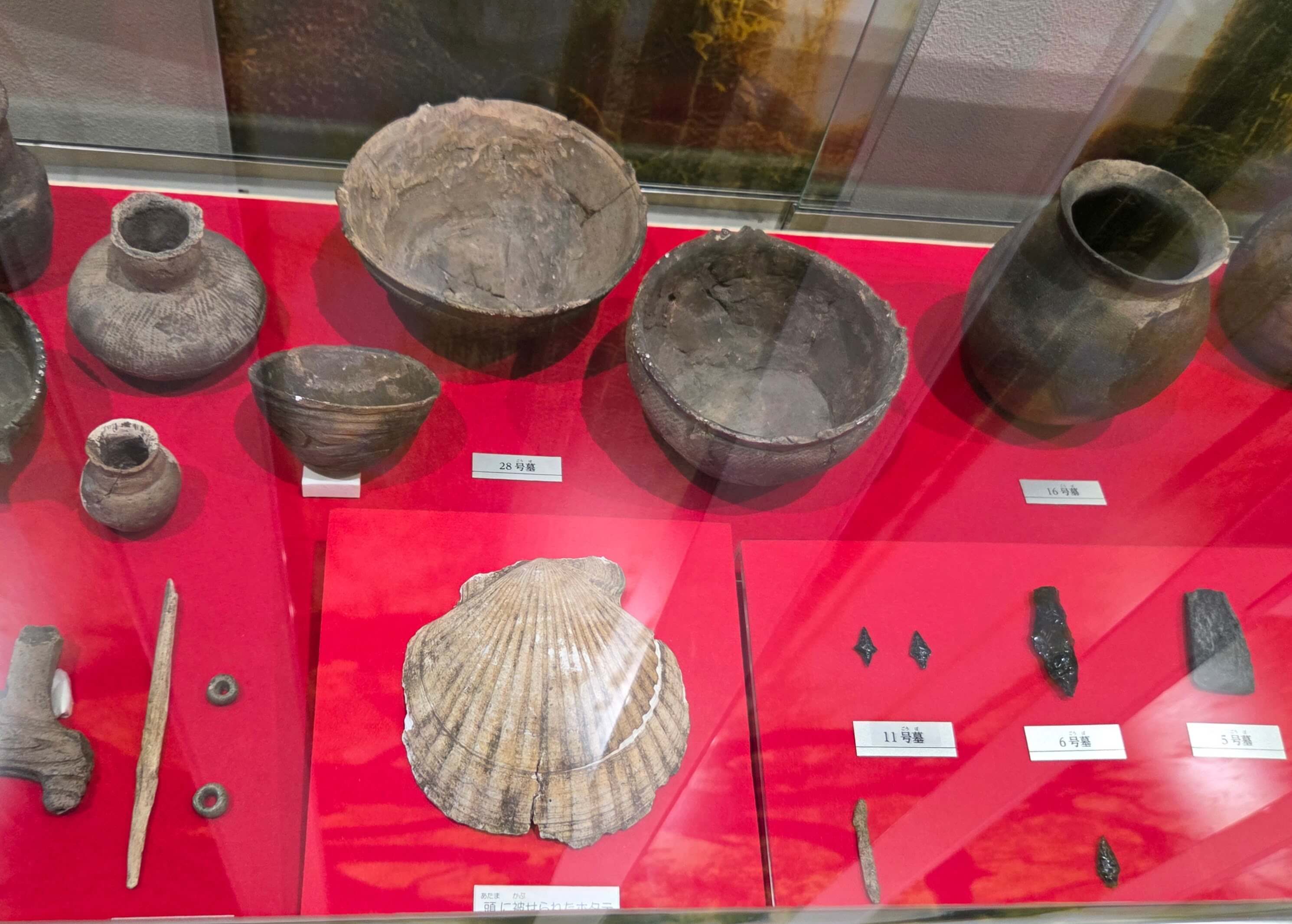 Display at Shel Mount Center