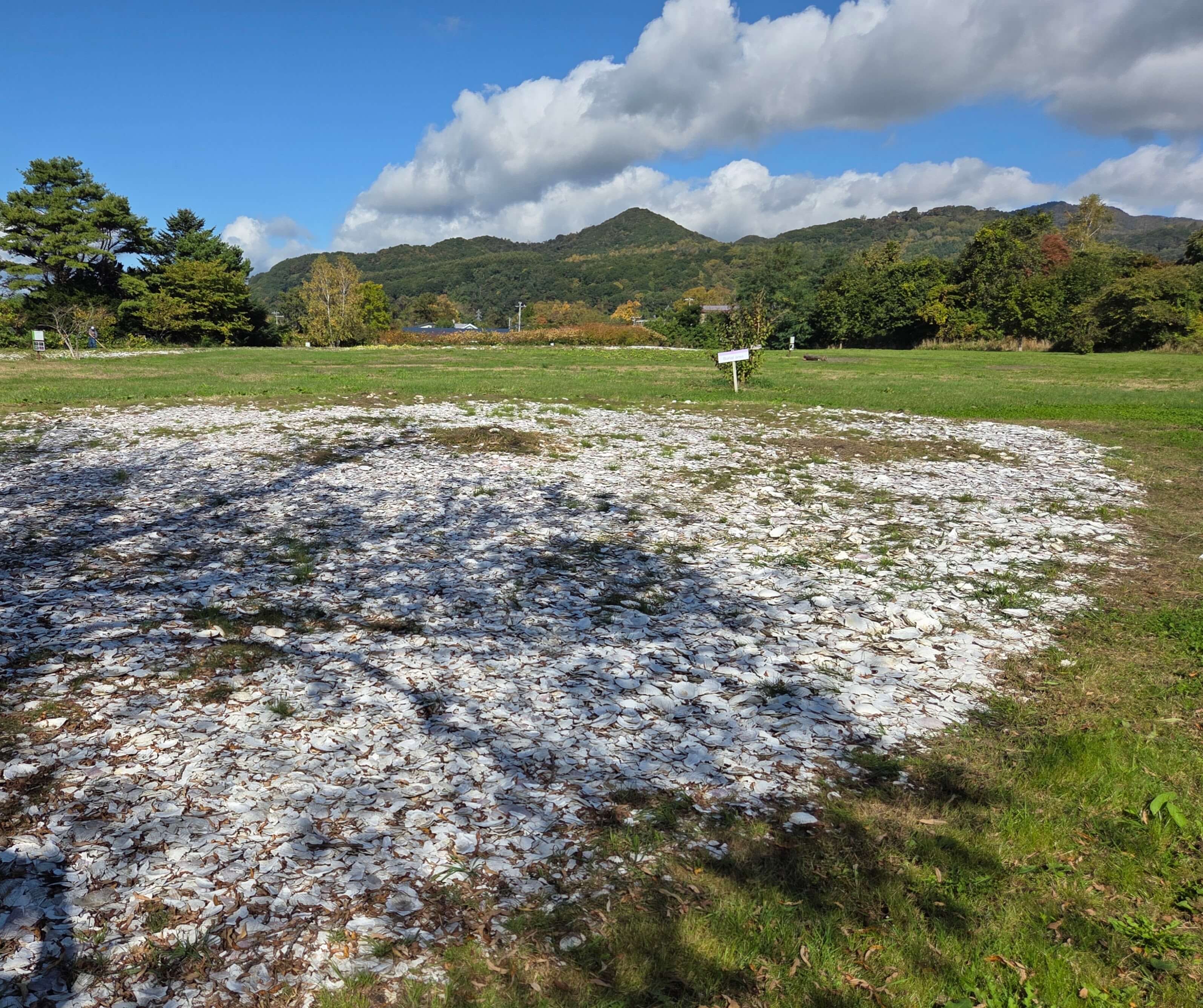 Takasago Shell Mound