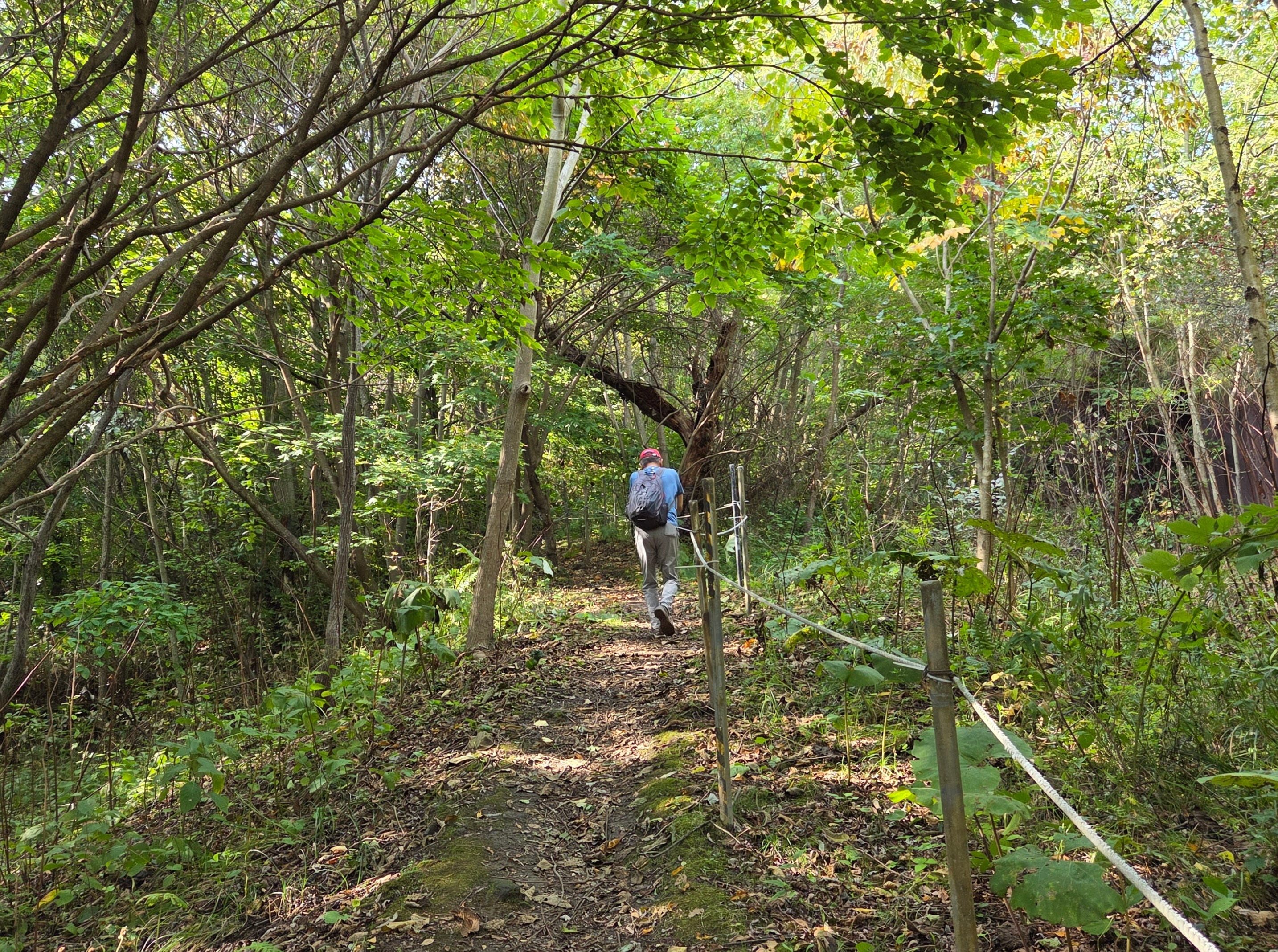 Hiking on the trail