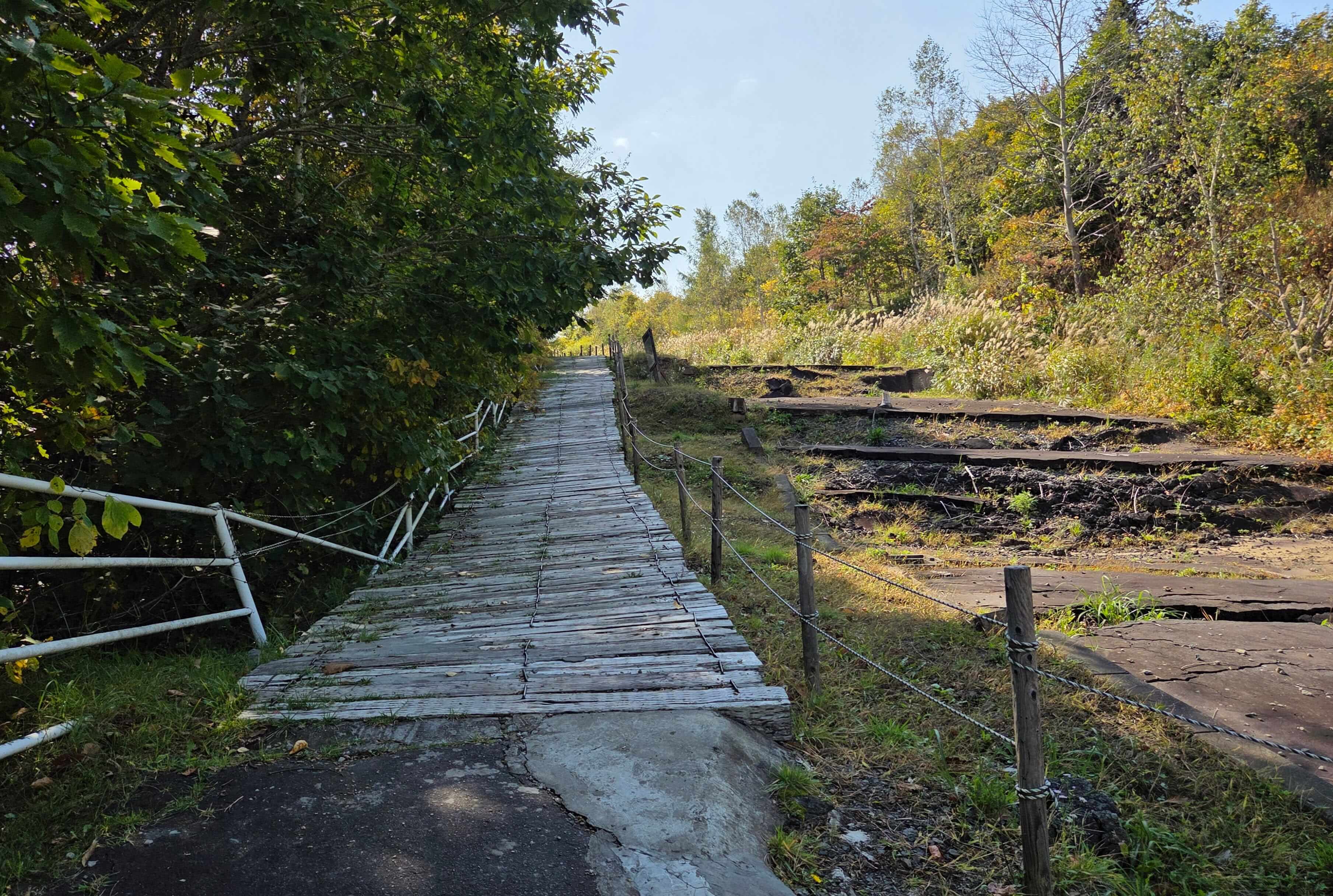 The right side of the trail was a destructed road.