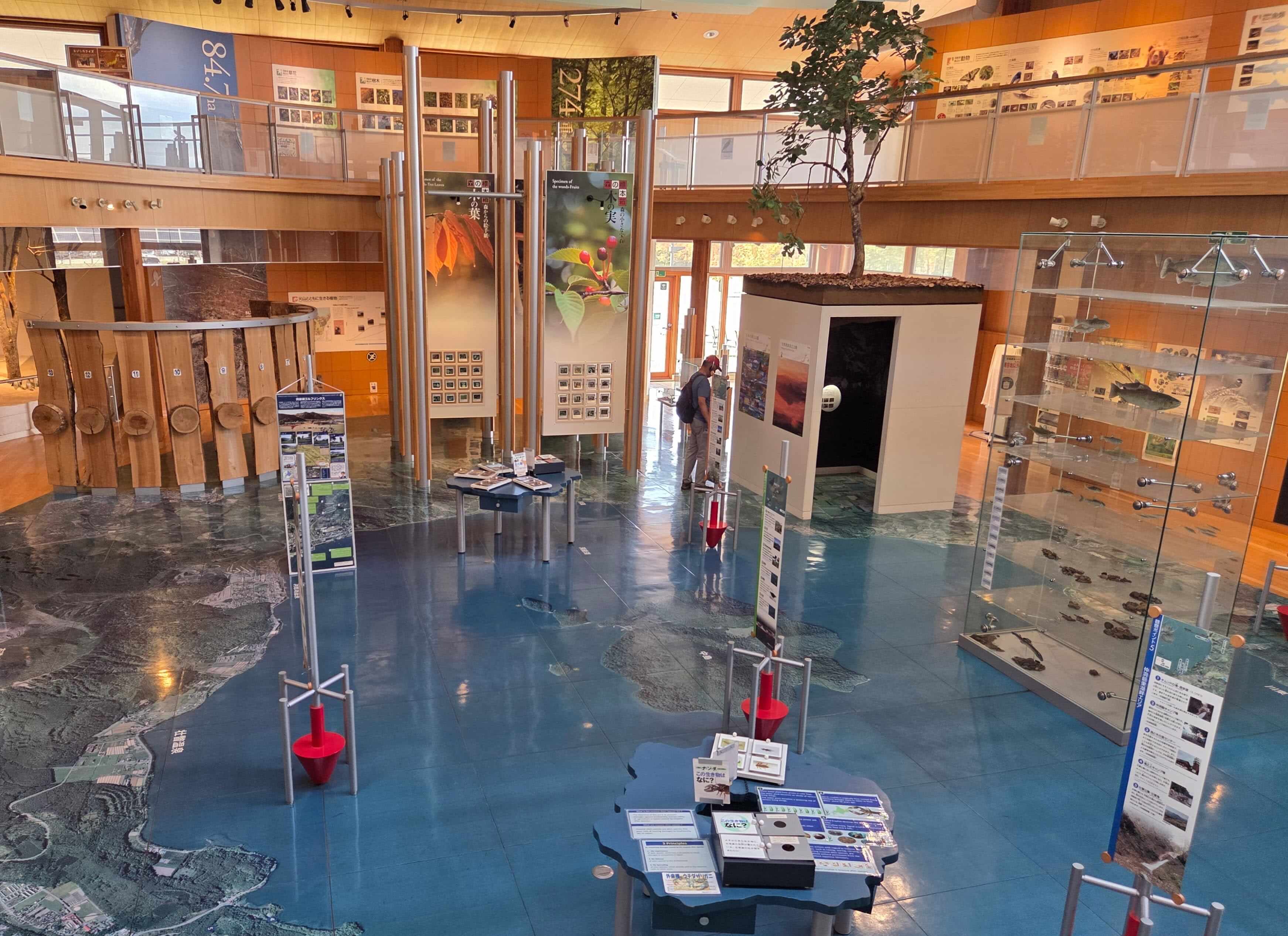 Visitor Center Display